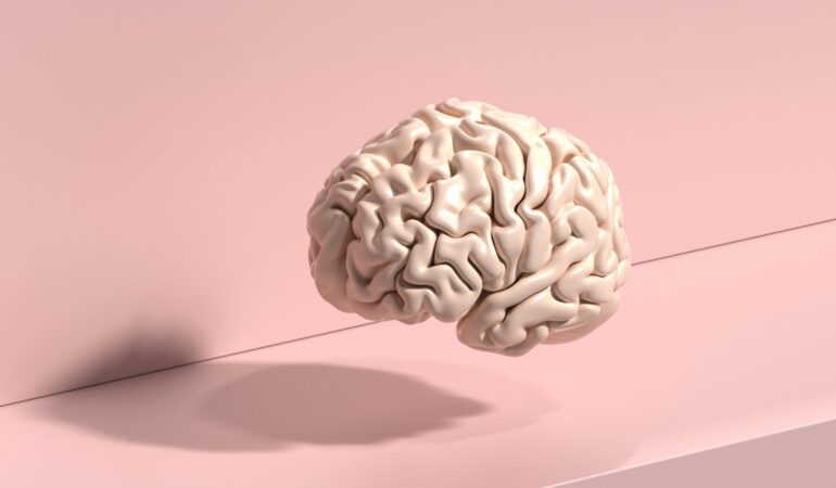 brain