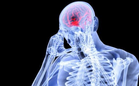 mind body 1