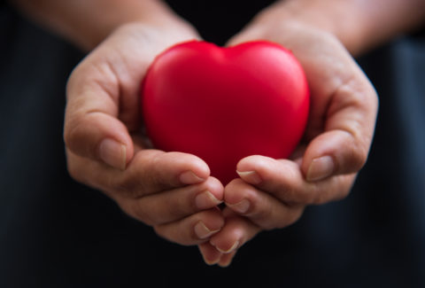 Close up hands giving red heart as heart donor. Valentine day of