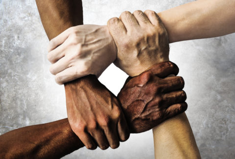 multiracial group with black african American Caucasian and Asian hands holding each other wrist in tolerance unity love and anti racism concept