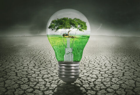 Green nature in the light bulb with dried soil