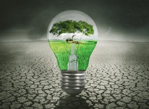 Green nature in the light bulb with dried soil