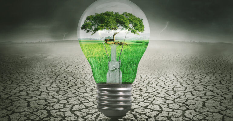 Green nature in the light bulb with dried soil