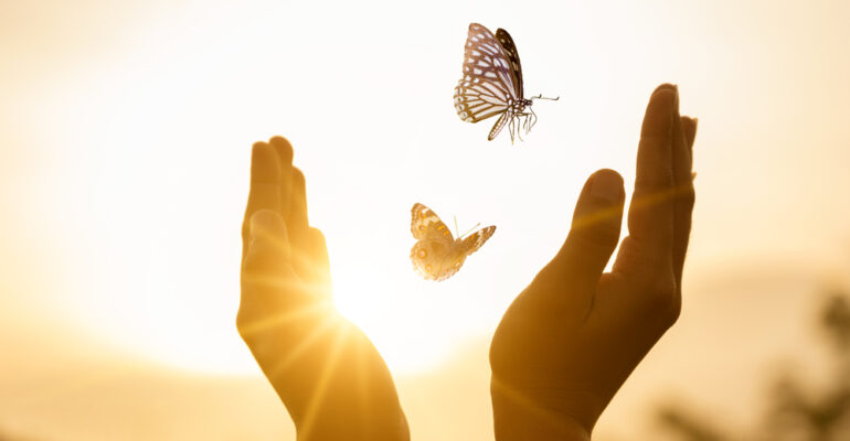 The girl frees the butterfly from  moment Concept of freedom