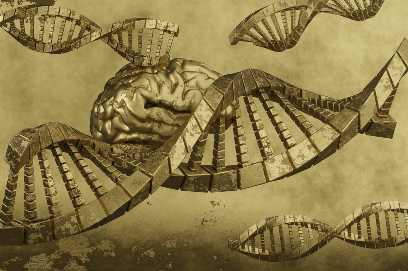 Genetics