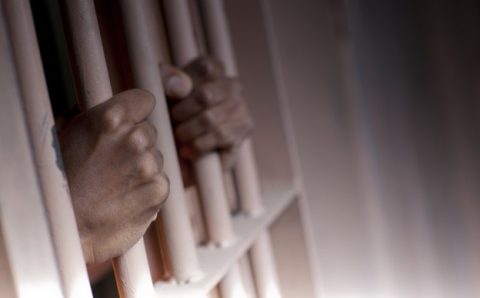 Forensic Mental Health Mastery