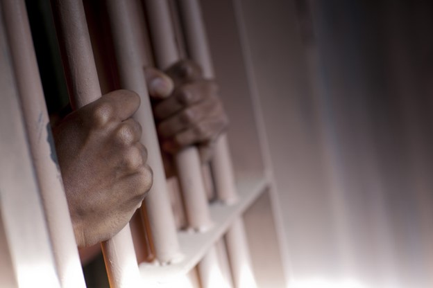 Forensic Mental Health Mastery