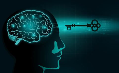 The Neurobiology of Cognitive Change