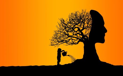 THE PSYCHOLOGY OF BELIEF